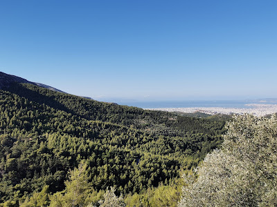 Hymettus, Kesariani & Vyronas Aesthetic Forest — fotografia 4