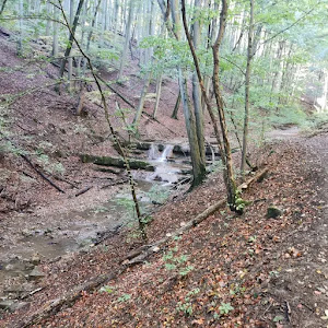 Óbányai-völgy — fotografia 3