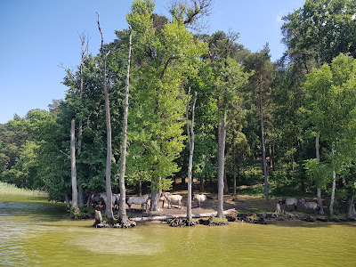 Jezioro Beldanskie — fotografia 5