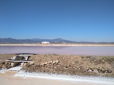 FAI - Saline Conti Vecchi — fotografia 5