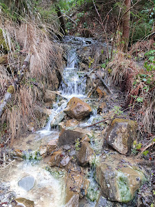 Cascada Piciorul Calului — fotografia 4