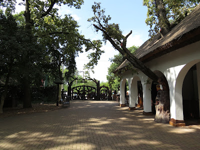 Szarvasi Arborétum — fotografia 4