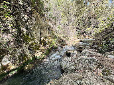 Inicio sendero rio Majaceite — fotografia 3