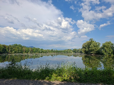 Ribnik Vrbje — fotografia 3