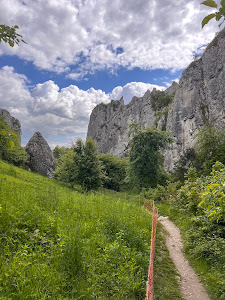 Wąwóz Bolechowicki — fotografia 4