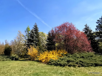 KEFAG Zrt. Kecskeméti Arborétum — fotografia 4