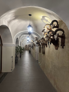 Vígľaš Castle — fotografia 3