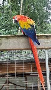 Ptasi Park ZOObaczysko — fotografia 4