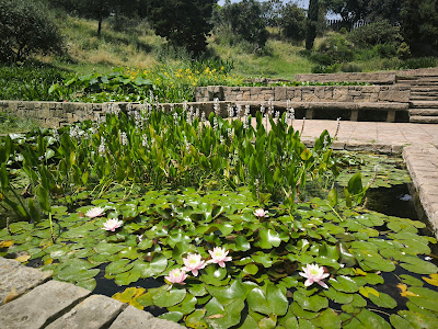 Jardins de Mossèn Cinto Verdaguer — fotografia 5