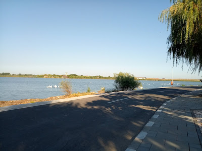 Faleza Murighiol — fotografia 4