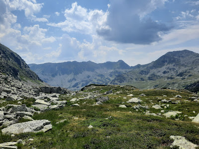 Poiana Pelegii