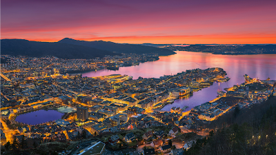 Fløyen