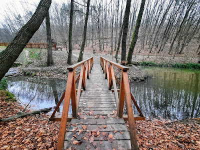 Égervölgyi tó — fotografia 4