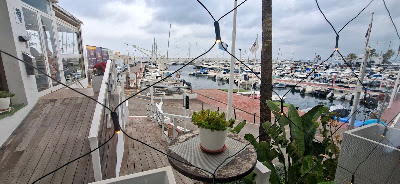 The Harbour Bar and Restaurant Marbella — fotografia 5