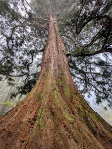 Wild Park Wernigerode Christianental — fotografia 5