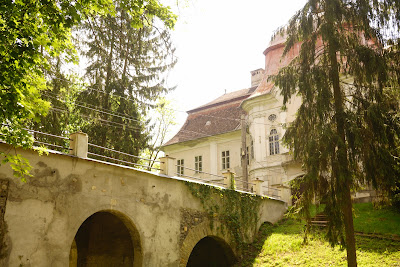 Castelul Teleki din Gornești — fotografia 4