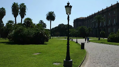 Museo e Real Bosco di Capodimonte — fotografia 2