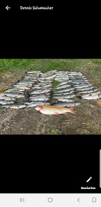Angelpark und Fischzucht Scheid