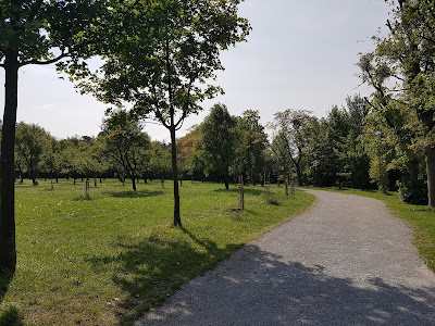 Steinhofgründe — fotografia 3