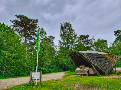 Nature camping site De Vlagberg — fotografia 4
