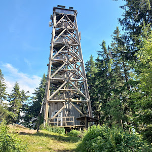 Boubínský prales — fotografia 4