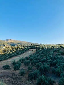 Camino Natural Vía Verde del Aceite — fotografia 4