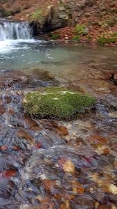 Izvoarele din Plai — fotografia 5