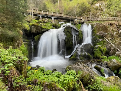 Cascada Triberg — fotografia 3