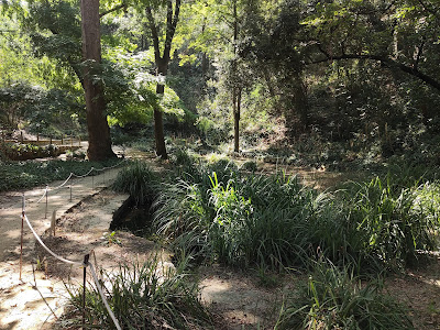 Jardi Botanic Historic — fotografia 3