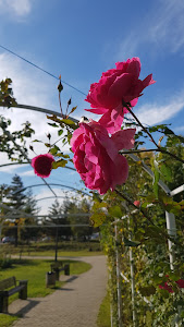 Parcul Lidia — fotografia 5