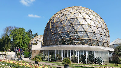 Grădina Botanică „Vasile Fati” din Jibou — fotografia 2