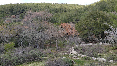 Klapados Waterfall
