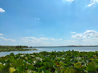 Lacul Murighiol