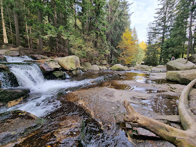 The Wild Waterfall — fotografia 5