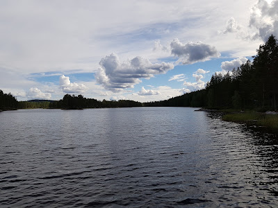 Saltbufjord