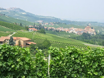 Camping Sole Langhe — fotografia 5
