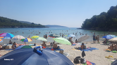 Plavi horizonti