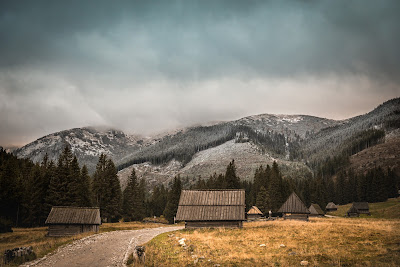 Chochołowska Valley — fotografia 3