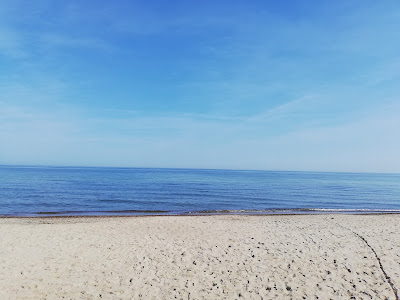 Pleśna Plaża — fotografia 3