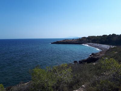 Cala Port Olivet — fotografia 5