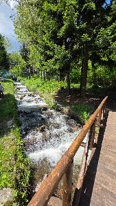 Местност Плажът Бистрица — fotografia 3