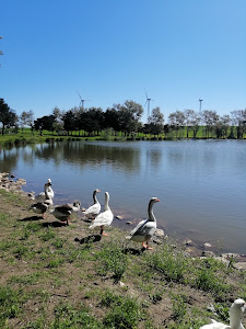 Lago San Giorgio