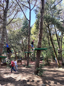 Parcallario — fotografia 3