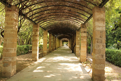 Zappeion Garden — fotografia 4