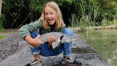 Forelvijver De Boshoek 2.0