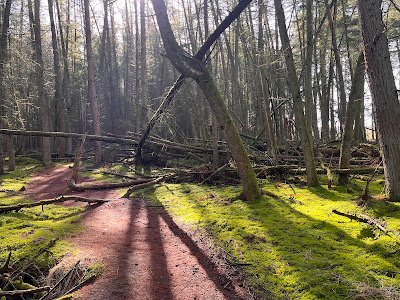 Zandspeelplaats boswachterij Grolloo — fotografia 3