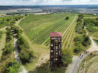 Observation tower Cow Mountain — fotografia 5