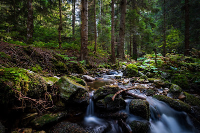Samokovishteto Ecotrail (Bistritsa Waterfall) — fotografia 5