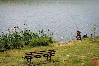 Lacul Nucetu