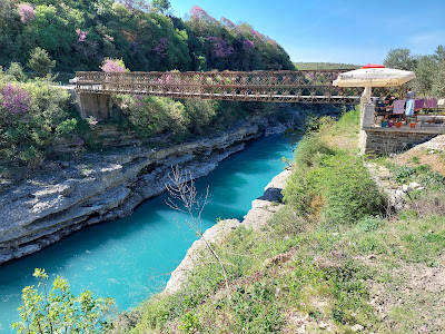 Vjosa Rafting & Eco Camping Albturist (11+ years experience) — fotografia 5